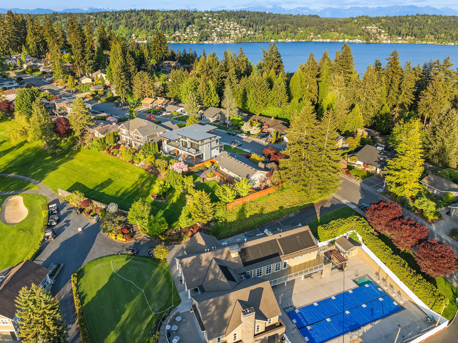 Aerial view of a suburban neighborhood with green lawns, tall trees, a lake in the background, and a blue sports court with adjacent buildings in the foreground.