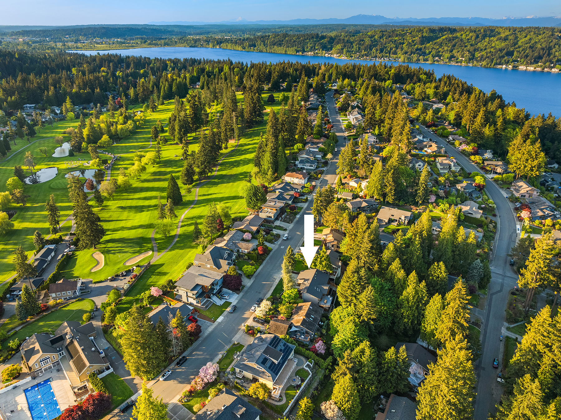 Aerial view of a suburban neighborhood bordered by a golf course and a lake, surrounded by trees. A white arrow points to a specific house among the residences.